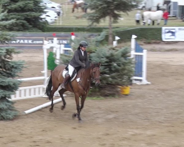 Reitturnier Jühnsdorf 2018