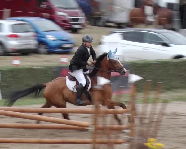 Reitturnier Jühnsdorf 2018