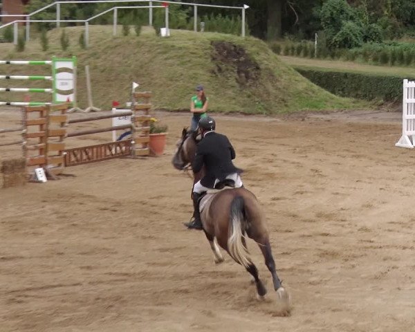 Reitturnier Jühnsdorf 2018