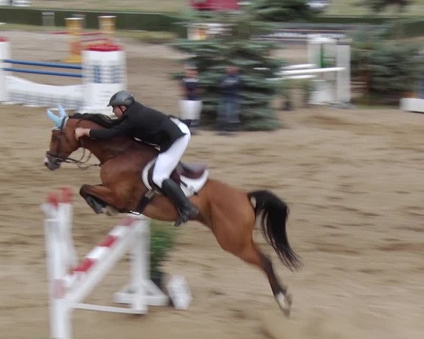 Reitturnier Jühnsdorf 2018