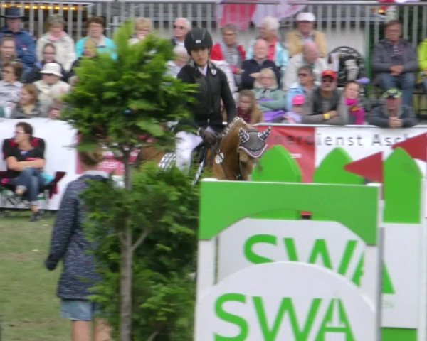 Reitturnier Aschersleben 2018