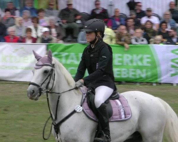 Reitturnier Aschersleben 2018