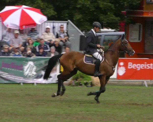 Reitturnier Aschersleben 2018