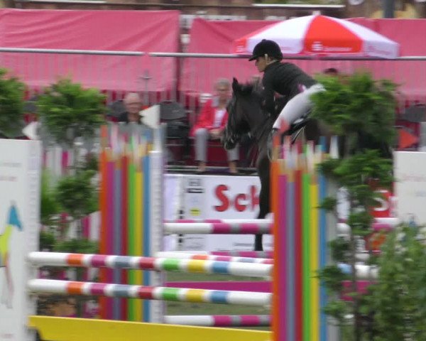 Reitturnier Aschersleben 2018