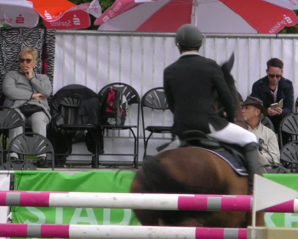 Reitturnier Aschersleben 2018
