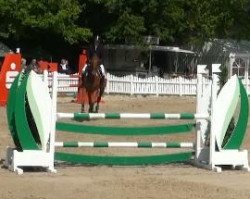 jumper Cavalero (Oldenburg, 2006, from Couleur Rouge)