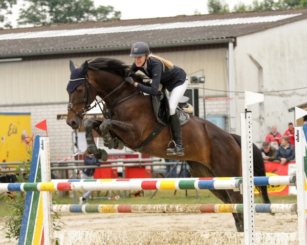 jumper Calina (KWPN (Royal Dutch Sporthorse), 2007, from Sarantos)