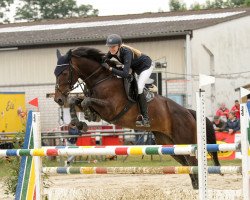 jumper Calina (KWPN (Royal Dutch Sporthorse), 2007, from Sarantos)