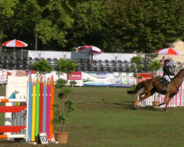Reitturnier Aschersleben 2018