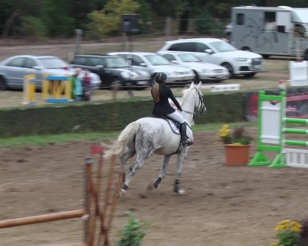 Reitturnier Jühnsdorf 2018