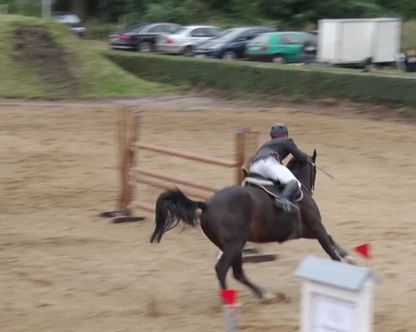 Reitturnier Jühnsdorf 2018