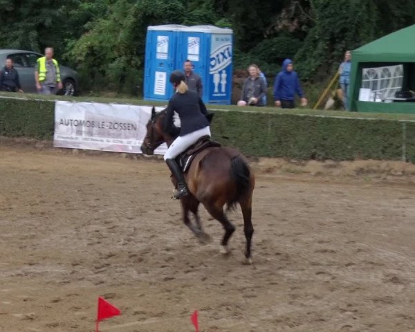 Reitturnier Jühnsdorf 2018
