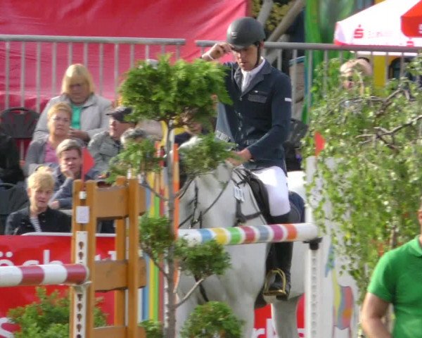 Reitturnier Aschersleben 2018