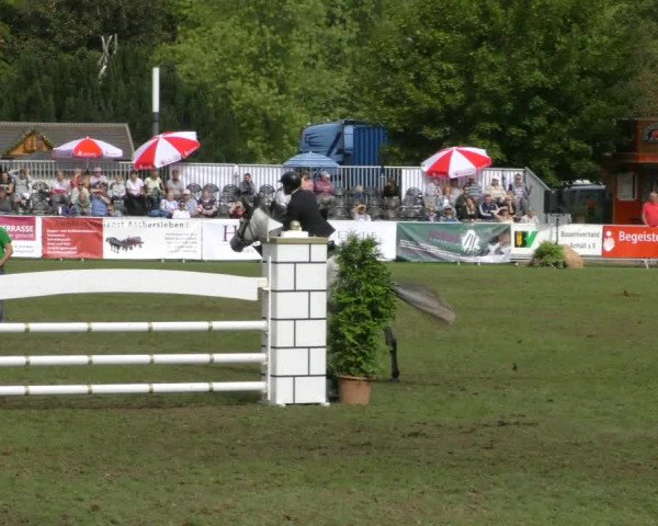 Reitturnier Aschersleben 2018
