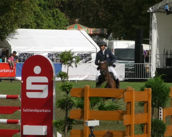 Reitturnier Aschersleben 2018