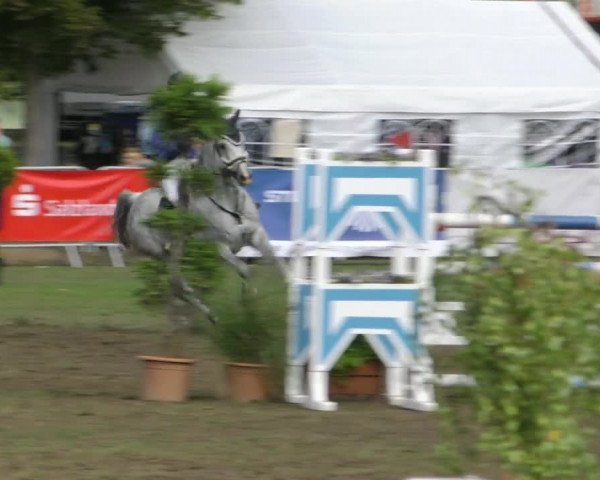 Reitturnier Aschersleben 2018
