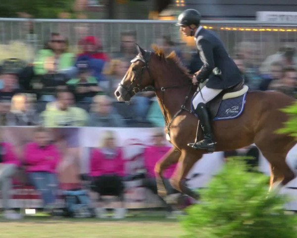 Reitturnier Aschersleben 2018