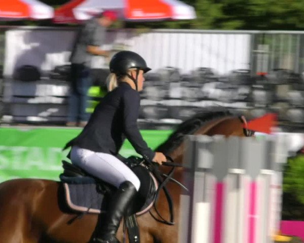 Reitturnier Aschersleben 2018