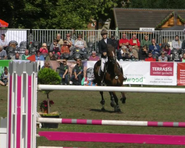 Reitturnier Aschersleben 2018