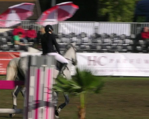Reitturnier Aschersleben 2018