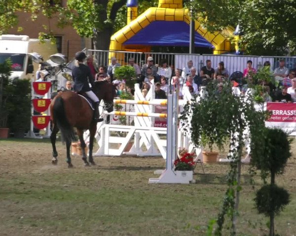 Reitturnier Aschersleben 2018