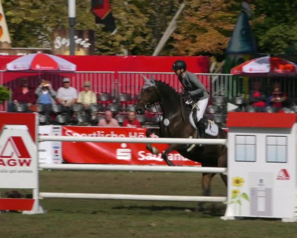 Reitturnier Aschersleben 2018