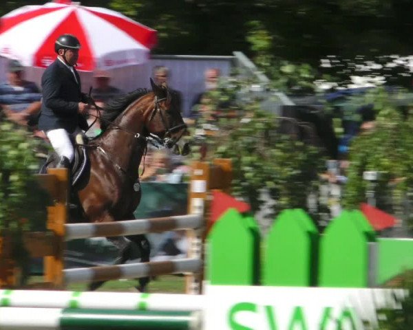 Reitturnier Aschersleben 2018