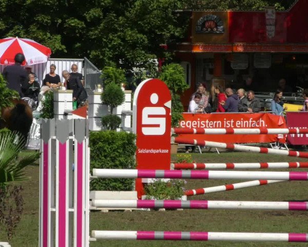 Reitturnier Aschersleben 2018