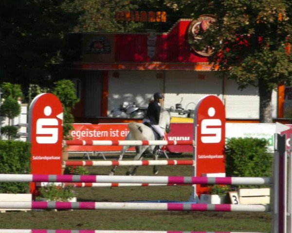 Reitturnier Aschersleben 2018