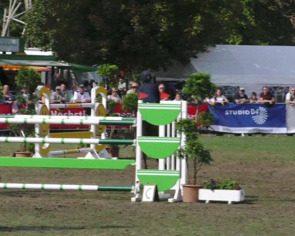 Reitturnier Aschersleben 2018