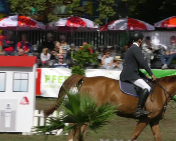 Reitturnier Aschersleben 2018