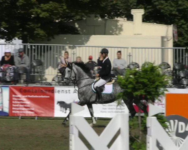 Reitturnier Aschersleben 2018