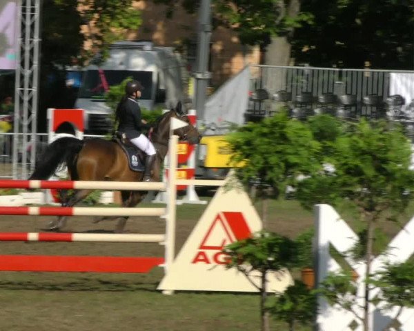 Reitturnier Aschersleben 2018