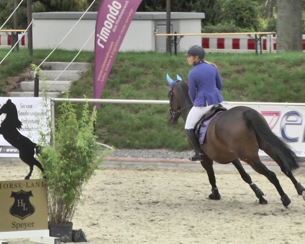 Reitturnier Durmersheim-Hardt 2018