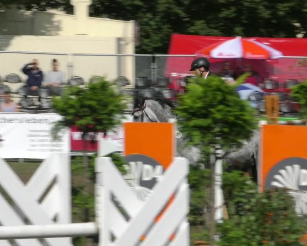 Reitturnier Aschersleben 2018