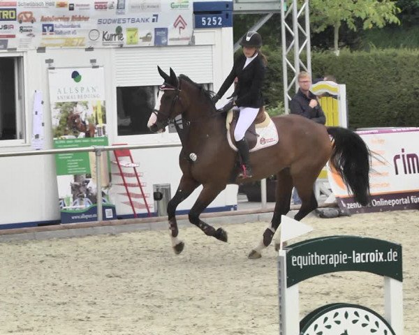 Reitturnier Durmersheim-Hardt 2018