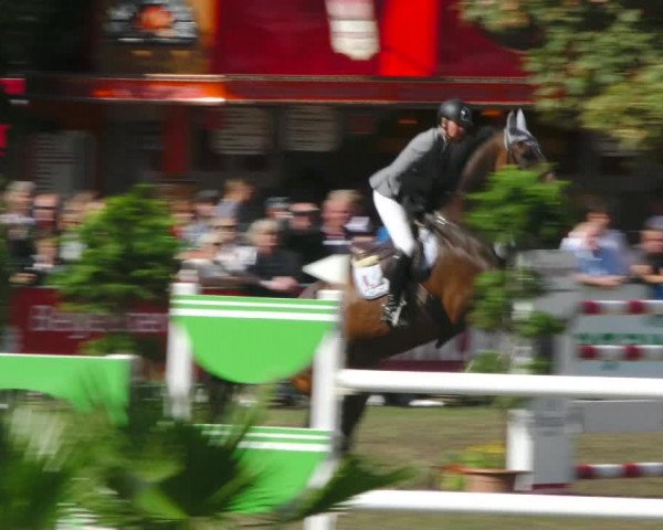 Reitturnier Aschersleben 2018