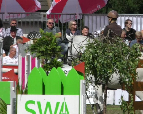Reitturnier Aschersleben 2018
