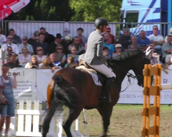 Reitturnier Aschersleben 2018