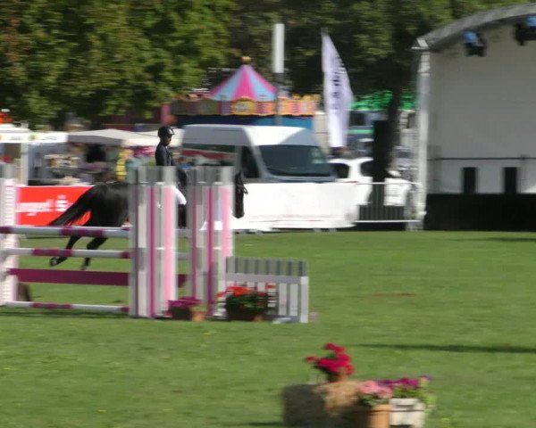 Reitturnier Aschersleben 2018