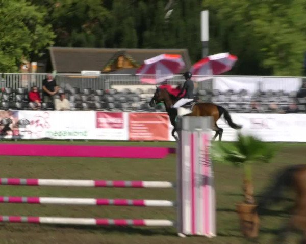Reitturnier Aschersleben 2018