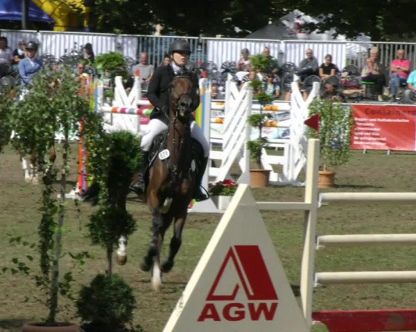 Reitturnier Aschersleben 2018