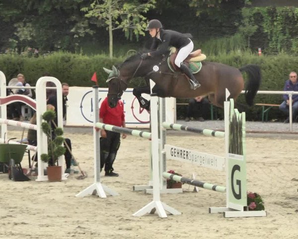 Reitturnier Durmersheim-Hardt 2018