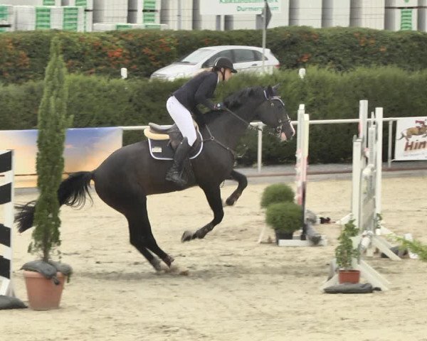 Reitturnier Durmersheim-Hardt 2018