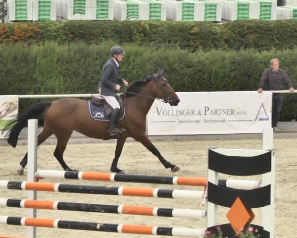 Reitturnier Durmersheim-Hardt 2018
