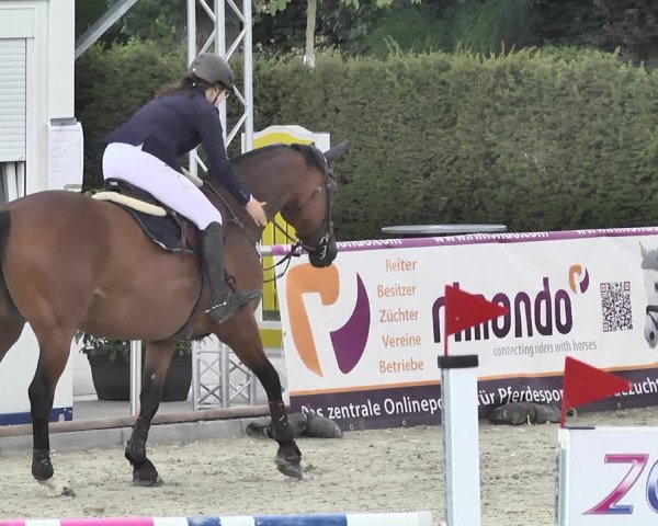Reitturnier Durmersheim-Hardt 2018