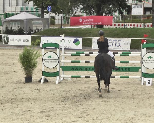 Reitturnier Durmersheim-Hardt 2018