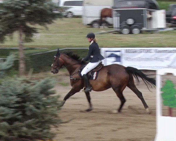 Reitturnier Jühnsdorf 2018