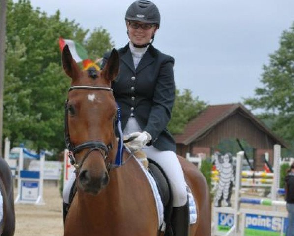 dressage horse Rubens (Westphalian, 2006, from Rockwell) dressage horse Rubens (Westphalian, 2006, from Rockwell)