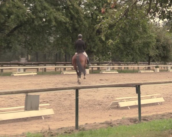 Reitturnier Recklinghausen 2018
